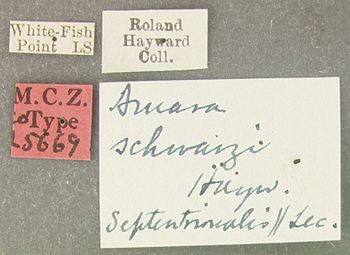 Media type: image;   Entomology 25669 Aspect: labels